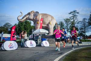 BIB: 
                            <button type="button" onclick="openModal(26541952)" class="btn btn-primary btn-sm float-right btn-popup" data-toggle="modal" data-target=".modal-high-quality">
                        <i class="fas fa-shopping-cart"></i> Add to Cart
                    </button>
                                            <button type="button" onclick="isThisMe(26541952, true)" class="btn btn-success btn-sm float-right btn-popup btn-isme hidden" data-toggle="tooltip" data-placement="bottom" title="นี่คือรูปของคุณใช่ไหม คลิกที่นี่เพื่อเอาเข้าอัลบั้ม">
                        <i class="fas fa-plus"></i> Add to album
                    </button>
                    <button type="button" onclick="isThisMe(26541952, false)" class="btn btn-warning btn-sm float-right btn-popup btn-isnotme hidden">
                        <i class="fas fa-ban"></i> Remove from album
                    </button>